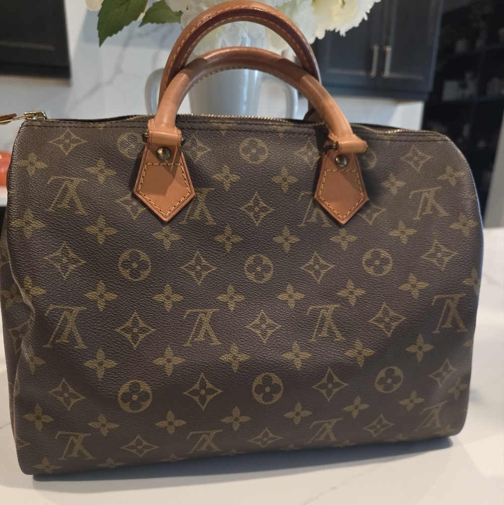 Louis Vuitton Speedy 30 Bag